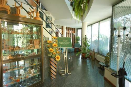 Hotel O Cortico Sever do Vouga Exterior photo
